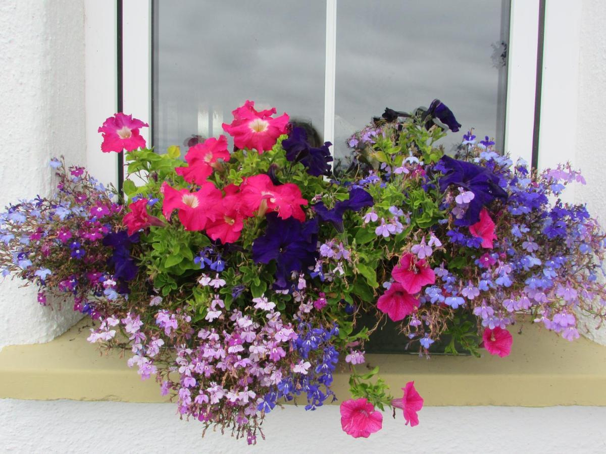 Breacan Cottage B&B Kinvara Dış mekan fotoğraf
