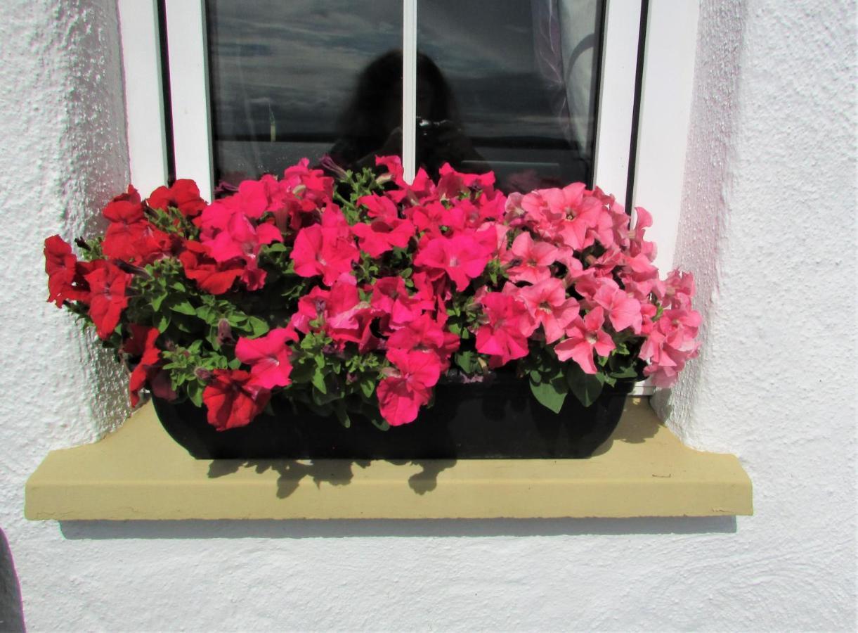 Breacan Cottage B&B Kinvara Dış mekan fotoğraf